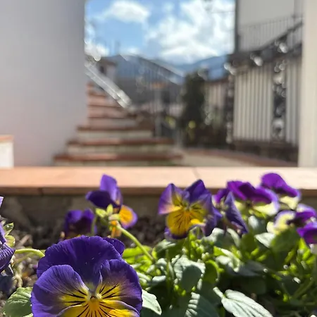 Albori Apartment